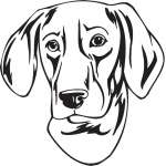 Ariege Pointer Dog Sticker