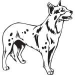 Australian Cattle Dog Sticker