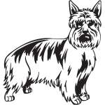 Australian Silky Terrier Dog Sticker