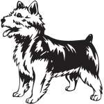 Australian Terrier Dog Sticker