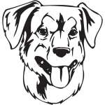 Austrian Pincher Dog Sticker