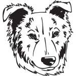 Basque Shepherd Dog Sticker