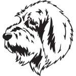 Basset Griffon Vendeer, Grand Dog Sticker