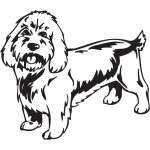 Basset Griffon Vendeer, Petit Dog Sticker