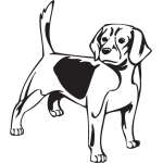 Beagle Dog Sticker