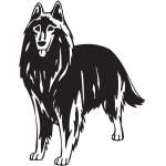 Belgian Shepherd Dog (Groenendael) Dog Sticker