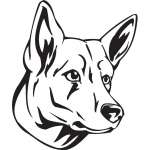 Berger Blanc Suisse Dog Sticker