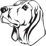Black and Tan Coonhound Dog Sticker
