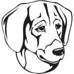 Black and Tan Virginia Foxhound Dog Sticker