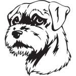 Border Terrier Dog Sticker