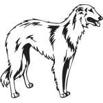Borzoi Dog Sticker