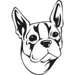 Boston Terrier Dog Sticker