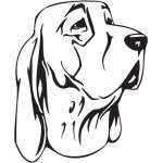 Bracco Italiano Dog Sticker