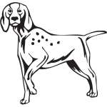 Burgos Pointer Dog Sticker