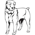 Central Asian Shepherd Dog Sticker