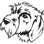 Cesky Fousek Dog Sticker