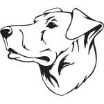 Chinook Dog Sticker