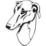 Chippiparai Dog Sticker