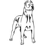 Dogo Argentino Dog Sticker