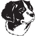 Drentse Patrijshond Dog Sticker