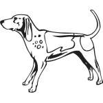 English Coonhound Dog Sticker