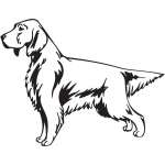English Setter Dog Sticker