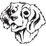 English Springer Spaniel Dog Sticker