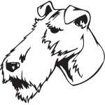 Fox Terrier, Wire Dog Sticker