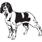 French Spaniel Dog Sticker