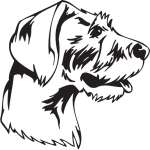 German Rough-Haired Pointer Dog Sticker