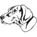 German Shourthaired Pointer Dog Sticker