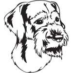 German Wirehaired Pointer Dog Sticker