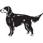 Gordon Setter Dog Sticker