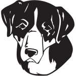 Greater Swiss Mountain Dog Sticker