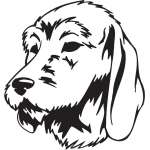 Friffon Fauve de Bretagne Dog Sticker