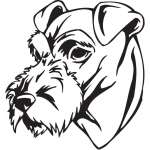 Irish Terrier Dog Sticker