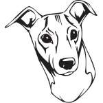 Italian Greyhound Dog Sticker