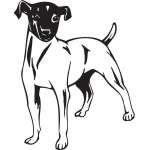 Japanese Terrier Dog Sticker