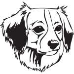 Kooikerhondje Dog Sticker