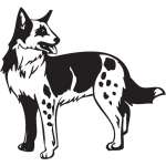 Koolie Dog Sticker