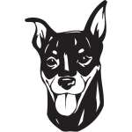 Minature Pinscher Dog Sticker