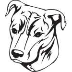 Mountain Cur Dog Sticker