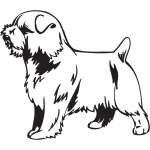Norfolk Terrier Dog Sticker