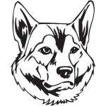 Northern Inuit Dog Sticker