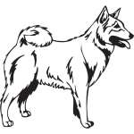 Norwegian Buhund Dog Sticker