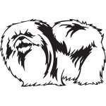 Pekingese Dog Sticker