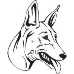 Pharaoh Hound Dog Sticker