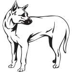 Phu Quoc Ridgeback Dog Sticker