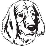 Picardy Spaniel Dog Sticker