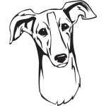 Polish Greyhound Dog Sticker